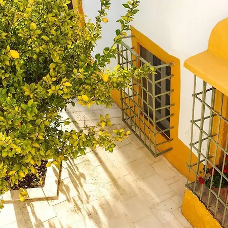 Historical Charming Cortijo Antequera Exclusive * Malaga